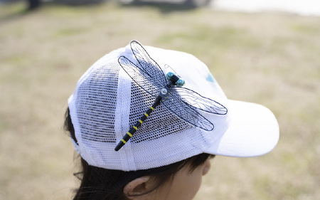 虫除けグッズ「おにやんま君」安全ピンタイプ・ストラップタイプセット