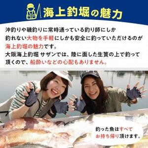 【泉南・樽井漁港】釣掘りサザン 10時コース 平日限定（1名様分）【044D-002】