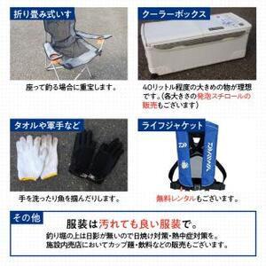 【泉南・樽井漁港】釣掘りサザン 10時コース 平日限定（1名様分）【044D-002】