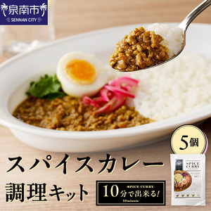 10分で出来る！スパイスカレー調理キット 5個セット カレー カレールウ スパイスカレー こだわりカレー カレーキット 人気カレー 大人気カレー 常温保存【002D-012】