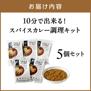 10分で出来る！スパイスカレー調理キット 5個セット カレー カレールウ スパイスカレー こだわりカレー カレーキット 人気カレー 大人気カレー 常温保存【002D-012】