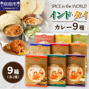 SPICE IN THE WORLD インド・タイカレー 9種セット カレー レトルトカレー レトルトカレーセット こだわりカレー インドカレー タイカレー スパイスカレー エスニックカレー 人気カレー 大人気カレー レトルト食品 常温保存【002D-014】