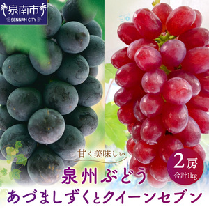 泉州ぶどう あづましずくとクイーンセブンの彩りセット【065D-017】
