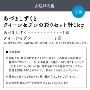 泉州ぶどう あづましずくとクイーンセブンの彩りセット【065D-017】