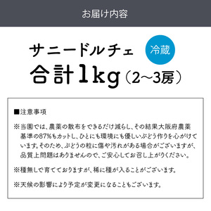 泉州ぶどう 太陽の甘みたっぷりサニードルチェ【065D-018】