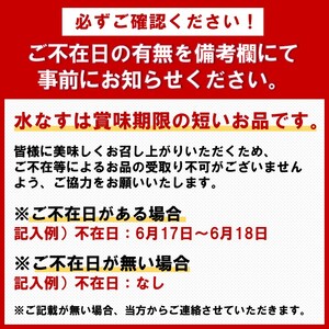 泉州名物 水なす浅漬け 10個と生なす2個【014D-012】
