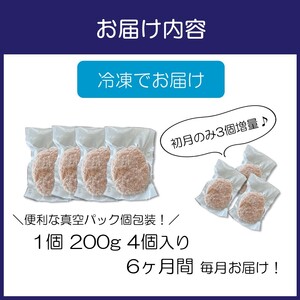 【無添加】食べ応え抜群！ 生ハンバーグ 200g 4個 6ヶ月定期便【087B-001】