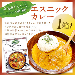 泉南市がつくったシリーズ第3弾「エスニックカレー」4箱＆泉南市オリジナルフェイスタオル 1枚【配送不可地域：北海道・沖縄・離島】 【059E-005】