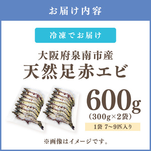 大阪府泉南市産 天然足赤エビ 600g【058D-007】