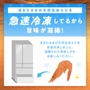 大阪府泉南市産 天然足赤エビ 300g【058D-008】