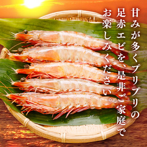 大阪府泉南市産 天然足赤エビ 300g【058D-008】