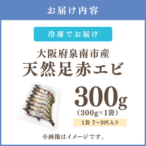 大阪府泉南市産 天然足赤エビ 300g【058D-008】
