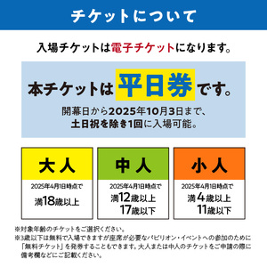 お得】万博電子チケット 大人2名分