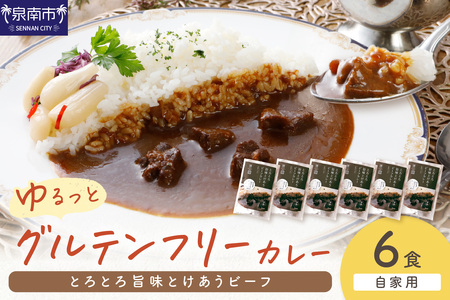 【自家用 化粧箱なし】ゆるっとグルテンフリー とろとろ旨味とけあうビーフカレー（中辛）6食セット【092D-009】