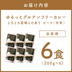 【自家用 化粧箱なし】ゆるっとグルテンフリー とろとろ旨味とけあうビーフカレー（中辛）6食セット【092D-009】