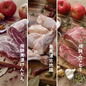 【自家用 化粧箱なし】ゆるっとグルテンフリーカレー ビーフ（中辛）ポーク（甘口）バターチキン（辛口）合計3食セット【092E-009】