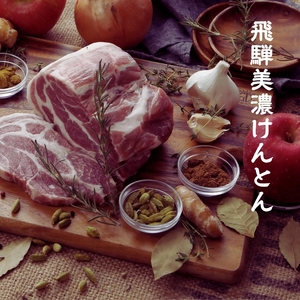 【自家用 化粧箱なし】ゆるっとグルテンフリー ごろろっと肉塊ほおばるポークカレー（甘口）3食セット【092E-010】