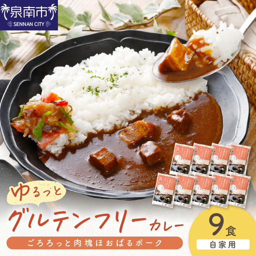 【自家用 化粧箱なし】ゆるっとグルテンフリー ごろろっと肉塊ほおばるポークカレー（甘口）9食セット【092D-012】 12,000円