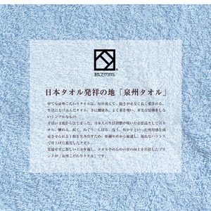 泉州タオルアレンジ 花束タオルミニ カラフル6個セット【033D-015】