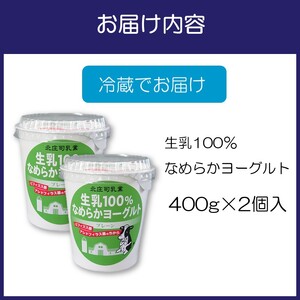 生乳100％なめらかヨーグルト 2個入り【113E-001】