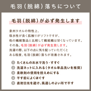 【泉州タオル】吸水力と肌触りが自慢のデイリーユースフェイスタオル ライトグレー 10枚【039D-264】