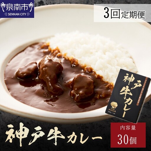 神戸牛カレー200g×30個セット 3ヶ月定期便【108A-006】