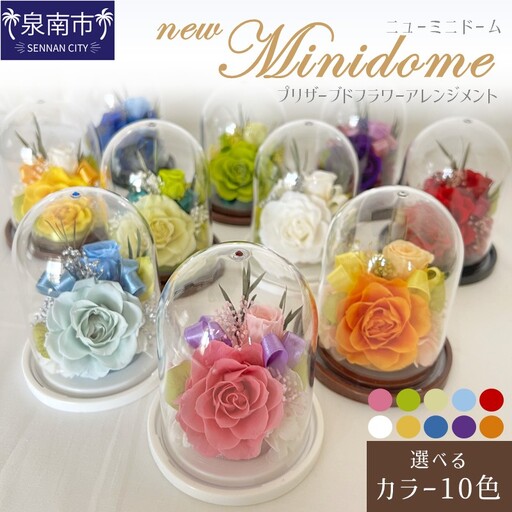 ニューミニドーム プリザーブドフラワー アレンジメント【023D-015】
