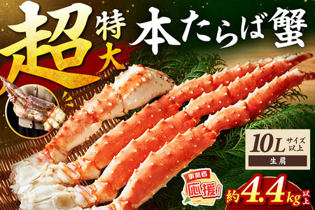 【2肩約4.4kgの10Lサイズ以上】一番人気！ 本たらば蟹 生肩 約4.4kg～【ふるさと納税3.0】【087A-009】