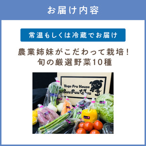農業姉妹がこだわって栽培！旬の厳選野菜10種【024D-012】