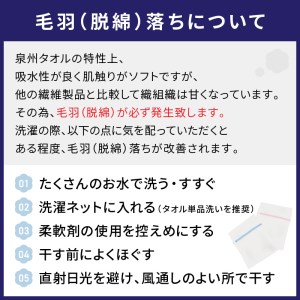 【泉州タオル】少し華やかにしてくれるボーダー柄のバスタオル8枚 タオル バスタオル 泉州バスタオル バスタオルセット 国産タオル 人気タオル 泉州タオル【配送不可地域：北海道・沖縄・離島】【039D-220】