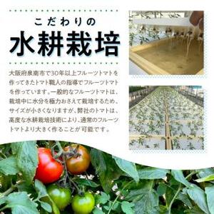 大阪泉州育ち あま味とまと 2kg 野菜 トマト 生鮮 フルーツトマト 夏野菜 食料品 水耕栽培 中玉 ふるさと納税 人気 新鮮【051D-009】