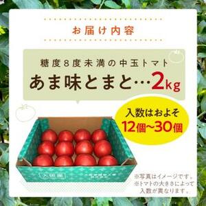 大阪泉州育ち あま味とまと 2kg 野菜 トマト 生鮮 フルーツトマト 夏野菜 食料品 水耕栽培 中玉 ふるさと納税 人気 新鮮【051D-009】