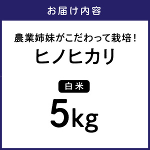 農業姉妹がこだわって栽培！ヒノヒカリ白米 5kg 米 白米 お米 ヒノヒカリ 精米 【024D-005】