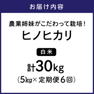 農業姉妹がこだわって栽培！白米5kg半年定期便【024B-005】