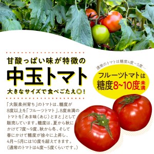 大阪泉州育ち フルーツトマト 1kg【051D-007】