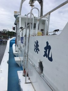 【泉南・岡田浦漁港】釣り船 湊丸 貸切船 8名様まで 船釣り 釣り船 体験チケット 釣り 岡田浦漁港 仕立船 貸切 アジ サバ タイ キス タチウオ メバル レジャー 趣味【049A-001】