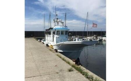 【泉南・岡田浦漁港】釣り船 湊丸 昼便 アジ・メバル便 1名様【049D-001】