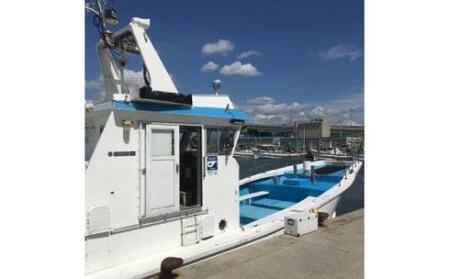 【泉南・岡田浦漁港】釣り船 湊丸 昼便 アジ・メバル便 1名様【049D-001】