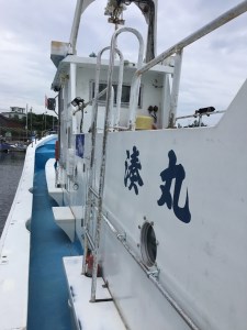 【 泉南 ・ 岡田浦漁港 】 釣り船 湊丸 午前便・午後便 1名様 体験 泉州沖 船釣り アジ メバル 釣り船 体験チケット 釣り 乗合船 岡田浦漁港 レジャー 趣味 フィッシング【049D-002】