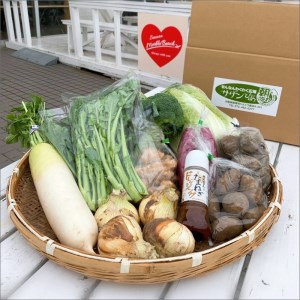 地元野菜の美味いろどり野菜セット 100サイズ箱 ドレッシング付【015D-012】