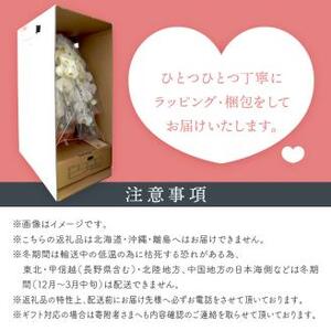 胡蝶蘭 白大輪3本立 42輪【008B-010】