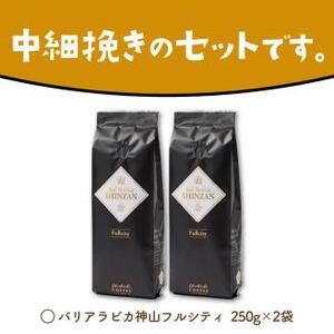 バリ・アラビカ神山フルシティ 250g×2袋／粉【010D-055】