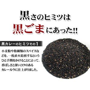 牛タン黒カレー（200ｇ×8パック）（カレー レトルトカレー レトルトカレーセット 牛タンカレー 牛タン入りカレー 黒カレー 黒ゴマカレー スパイスカレー こだわりカレー 本格カレー 人気カレー 大人気カレー）【069D-006】