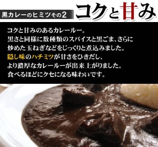 牛タン黒カレー（200ｇ×8パック）（カレー レトルトカレー レトルトカレーセット 牛タンカレー 牛タン入りカレー 黒カレー 黒ゴマカレー スパイスカレー こだわりカレー 本格カレー 人気カレー 大人気カレー）【069D-006】