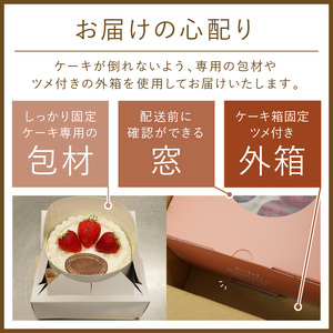 スペシャルレインボーケーキ5号サイズ クリスマス クリスマスケーキ ケーキ お祝い お誕生日ケーキ バースデーケーキ 記念日ケーキ 萌え断 サプライズ【074D-036】