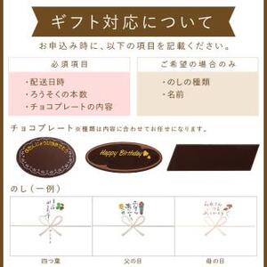 ショコラ6号サイズ【074D-042】