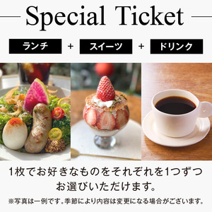 BARBARA COFFEE Special Ticket 1枚【075D-009】