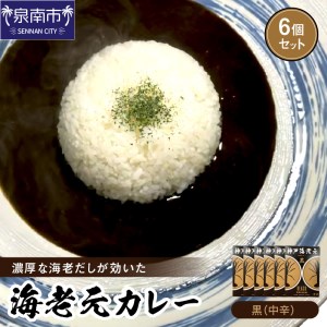 濃厚海老出汁 海老元カレー【黒】（中辛）6個セット（レトルト 常温 簡単調理 レトルト食品 レトルトカレー かれー カレーセット セット カレー 人気カレー 詰め合わせ 加工食品 お手軽 おすすめ 人気 泉南市 海老だし 濃厚海老だし）【078D-006】