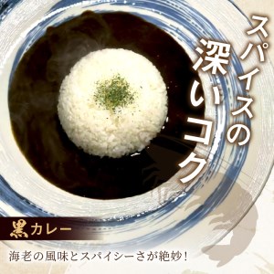 濃厚海老出汁 海老元カレー【白・黒・赤】（甘口・中辛・辛口）6個セット（レトルト 常温 簡単調理 レトルト食品 レトルトカレー かれー カレーセット セット カレー 人気カレー 詰め合わせ 加工食品 お手軽 おすすめ 人気 泉南市 海老だし 濃厚海老だし）【078D-008】