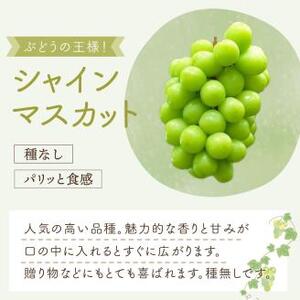 泉州ぶどう シャインマスカット 2房【065D-015】